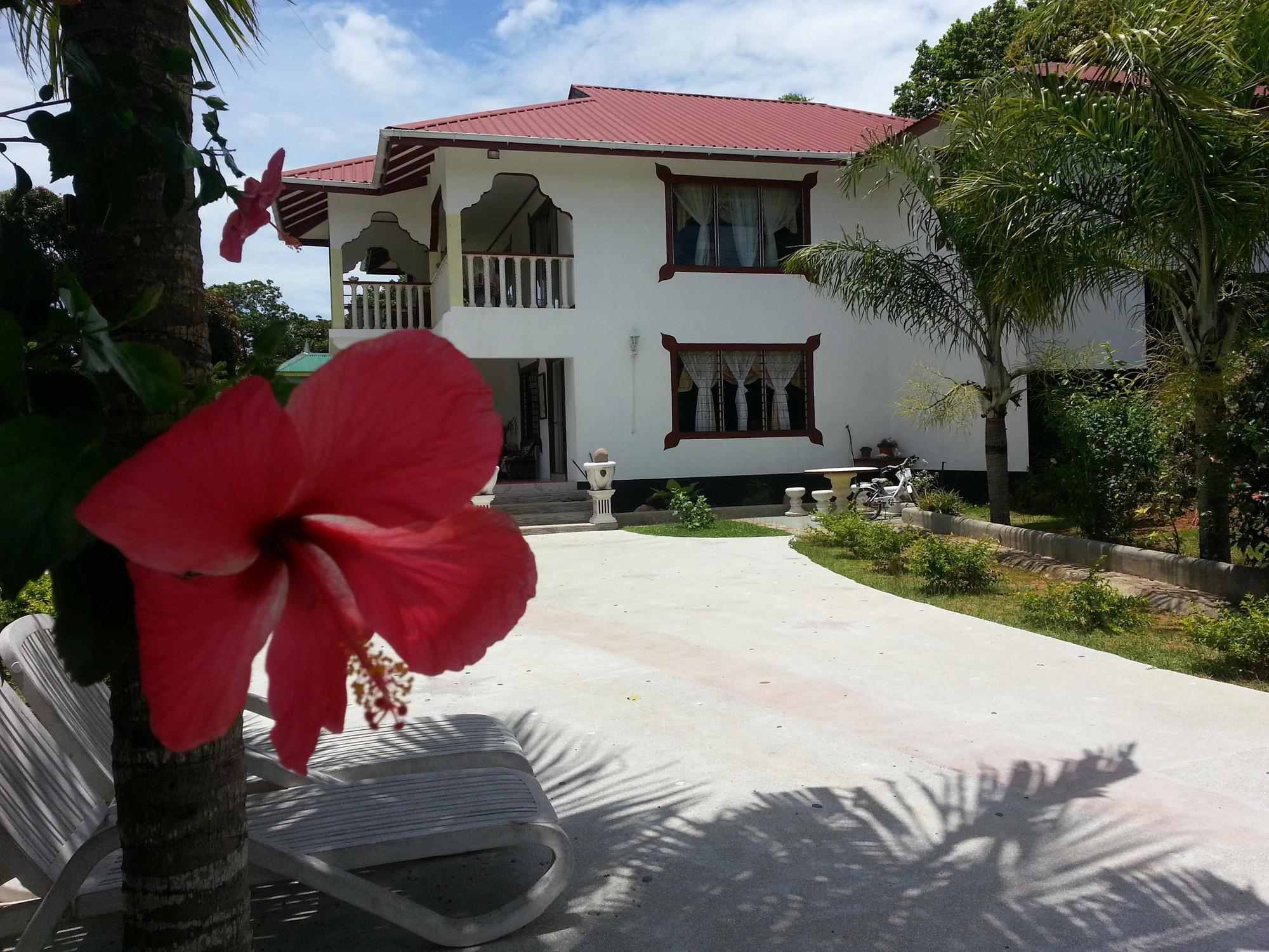 לה דיג Zanboza Guesthouse מראה חיצוני תמונה